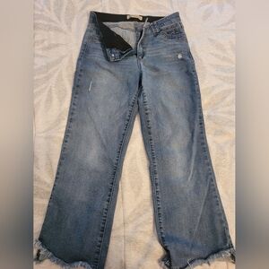 Democracy Blue Denim Jeans Fring Cut
